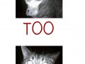 cats.jpg